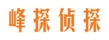 安定市婚姻调查